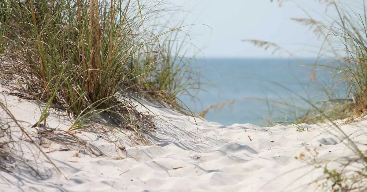 Is Corpus Christi Beach Water Clear?